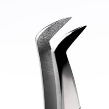 Carregar imagem no visualizador da galeria, Pinça L1 - Coleção Diamantada